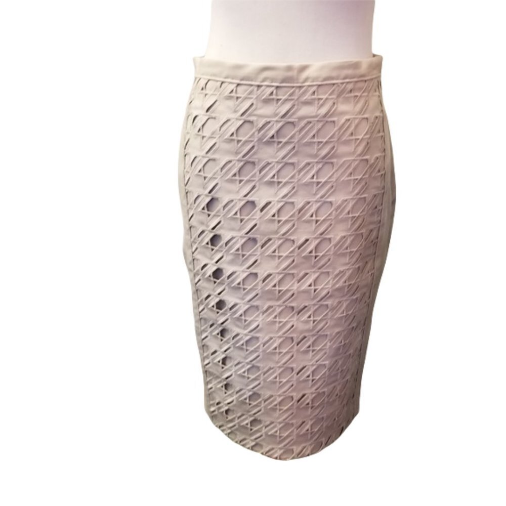 Carlisle eyelit detailed skirt women's size 2 (244)